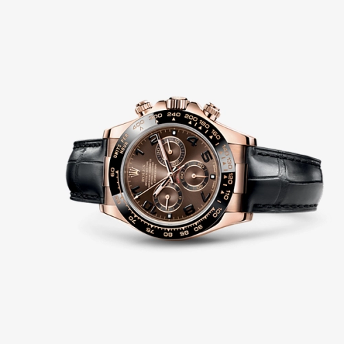 Rolex 116515LN-0004 : Cosmograph Daytona Everose / Cerachrom / Chocolate / Strap